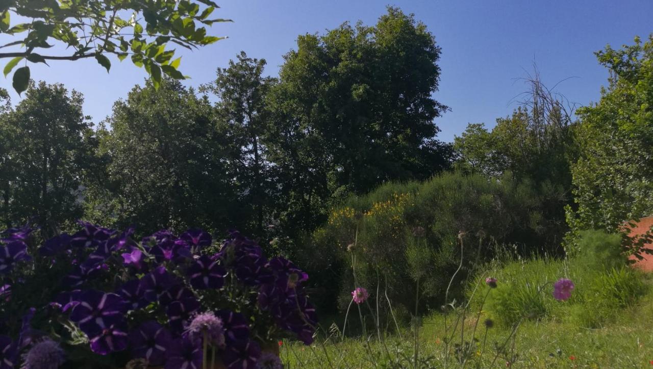 La Merla Perugia Eksteriør billede